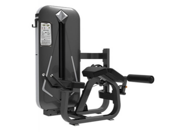 Máy tập các nhóm cơ seri LD-5000