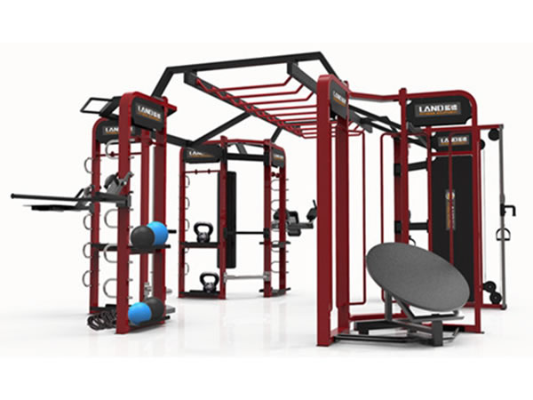 Giàn tập crossfit LDM-09