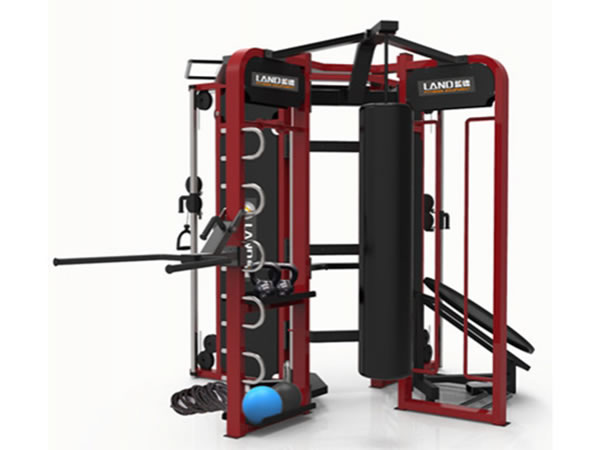 Giàn tập crossfit LDM-10